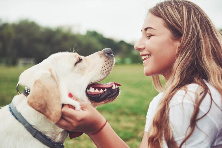 Hur visar hunden kärlek? Lär dig tyda hundspråk
