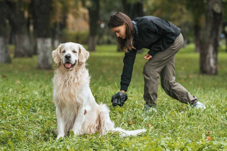 Vad betyder hundbajsets färg och konsistens?