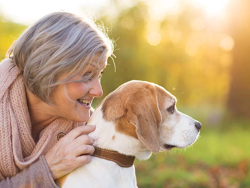 hund för pensionär